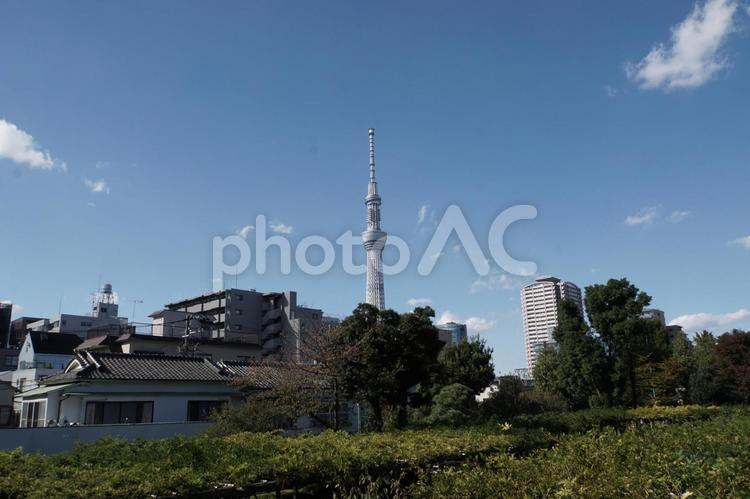 スカイツリーのある風景 スカイツリー,空,雲の写真素材