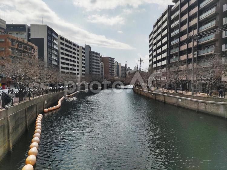 横浜市南区の黄金橋の街並み 都会,風景,川の写真素材