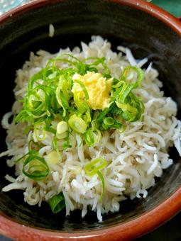 しらす丼 しらす丼の写真