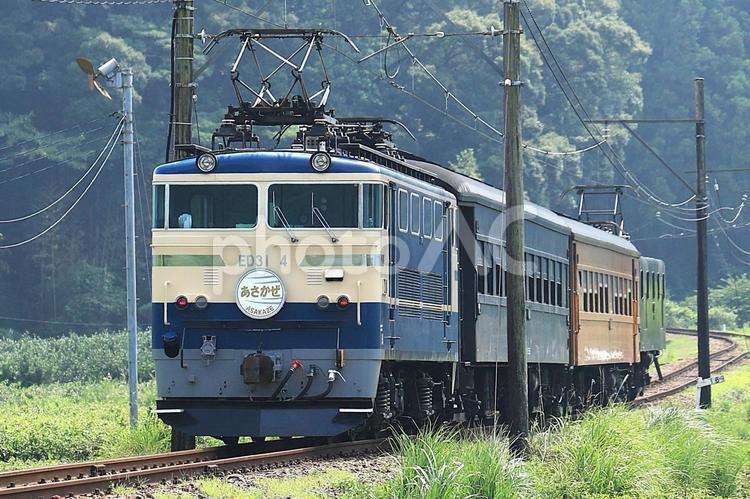 大井川鐵道 E31形（大井川本線） ブルートレイン急行,大井川鐵道,e31形の写真素材