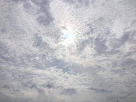 くもり空の写真