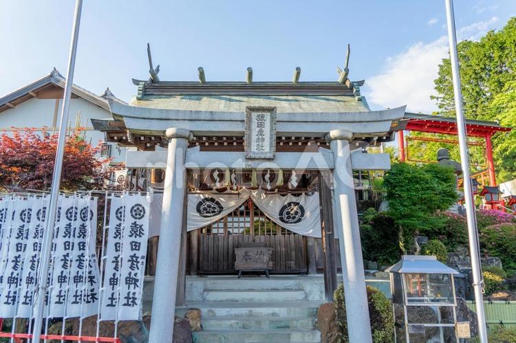 猿田彦神社 猿田彦神社,鳥居,神社の写真素材
