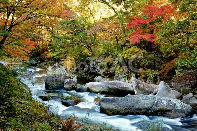 昇仙峡の渓流と紅葉 秋,自然,風景の写真素材