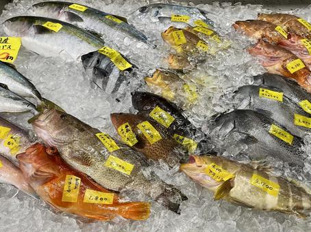 氷の上の色々な生魚 氷の上の色々な生魚 魚市場,生魚,魚の写真素材