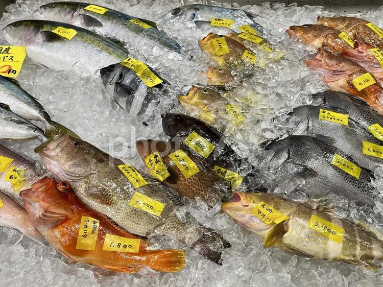氷の上の色々な生魚 魚市場,生魚,魚の写真素材