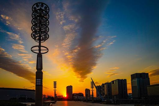 夕焼けと近未来の街灯 夕焼け,街灯,ビル群の写真素材