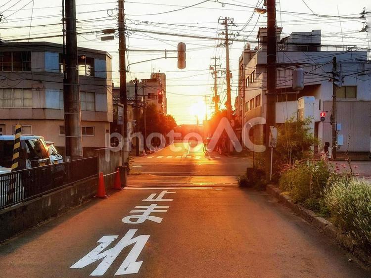夕日　交差点 夕日,夕暮れ,夕暮れ時の写真素材