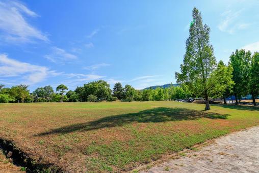 青空 公園 青空 公園 自然,木,風景の写真素材