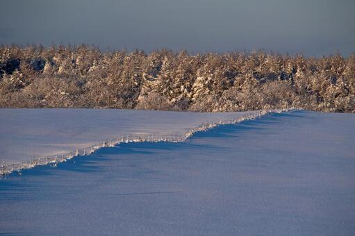 霧氷が雪原を二分するシャープな稜線 冬,雪原,雪の写真素材