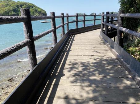 海と遊歩道 海と遊歩道の写真