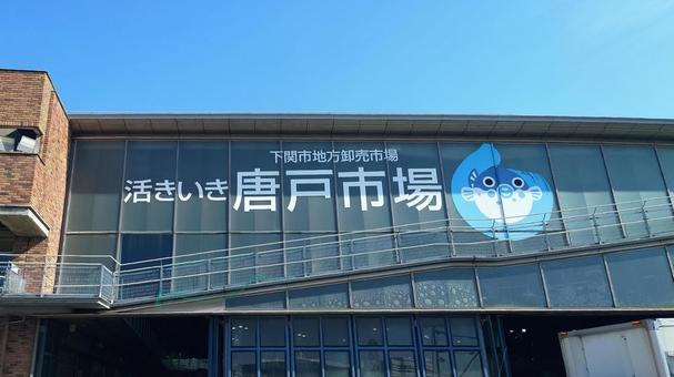 唐戸市場　山口県下関市地方卸売市場 唐戸市場,下関市,山口県の写真素材