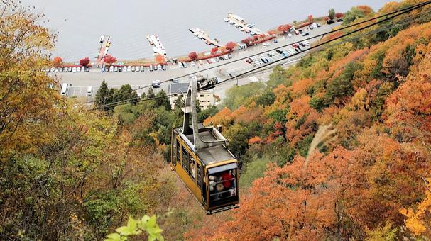鮮やかな紅葉と富士山パノラマロープウェイ 紅葉,秋,富士山パノラマロープウェイの写真素材