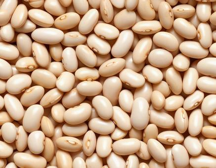 淡色つや豆の密集配置 淡色つや豆の密集配置の写真