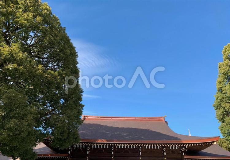 美しい青空と京都のお寺 寺院,神社,京都の写真素材
