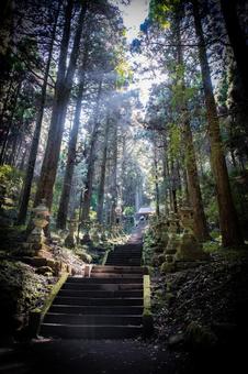 熊本県　上色見熊野座神社の風景 上色見熊野座神社,熊本,高森町の写真素材
