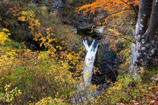秋の鳳鳴四十八滝⑽ 秋,紅葉,滝の写真素材