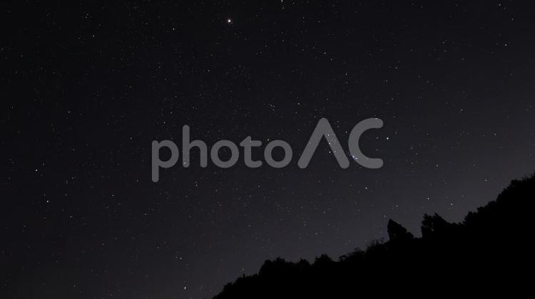 星影ささやく森のオリオン 星座,森,オリオン座の写真素材