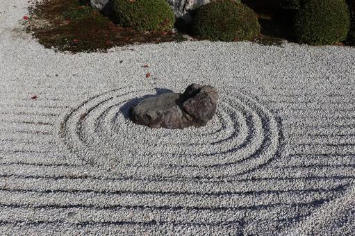圓光寺　奔龍庭 圓光寺,奔龍庭,枯山水の写真素材