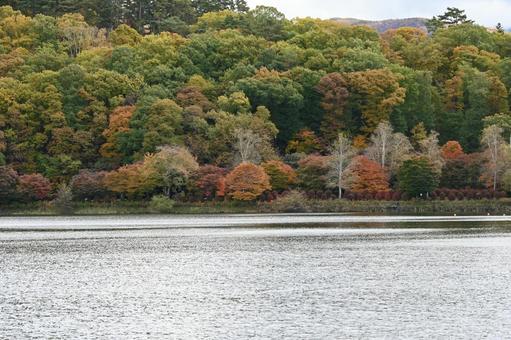長野県の蓼科湖と湖畔の紅葉の風景の写真