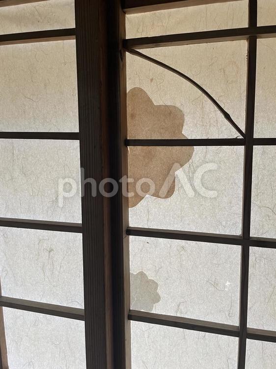 日本の美 - 和紙と光 和紙,光,影の写真素材