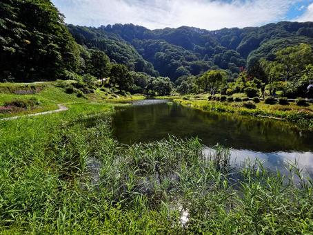 湯沢高原の池 湯沢高原の池 新潟県,越後湯沢,湯沢高原の写真素材
