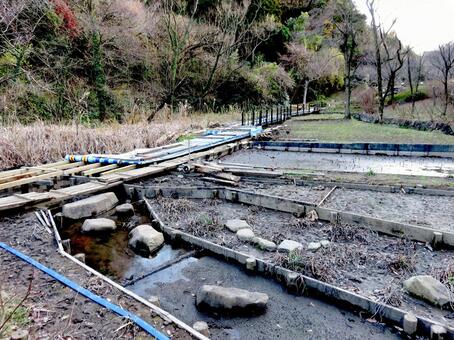 2015年、湿生花園改修中の鎌倉中央公園 鎌倉中央公園,鎌倉市,神奈川県の写真素材
