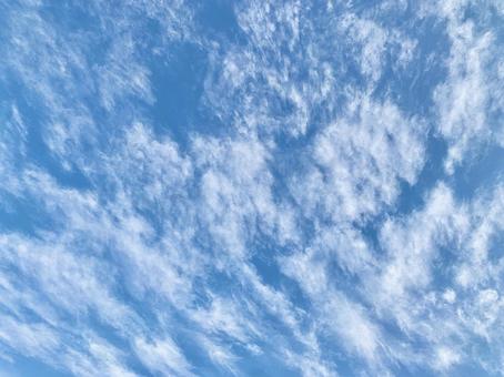 綺麗な空 空,晴れ,背景の写真素材