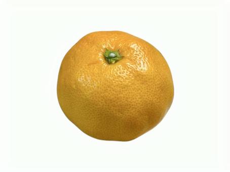みかんひとつ フルーツ,果実,甘いの写真素材