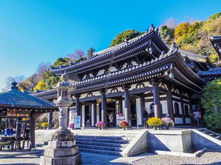 【神奈川県】鎌倉市・長谷寺 長谷寺,鎌倉市,寺社仏閣の写真素材