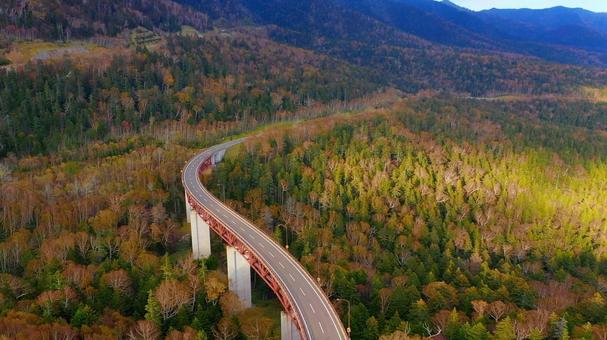 紅葉の絶景 三国峠 北海道 紅葉の絶景 三国峠 北海道 ドライブ,大雪山,三国峠の写真素材
