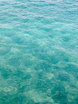 夏の海 夏の海の写真
