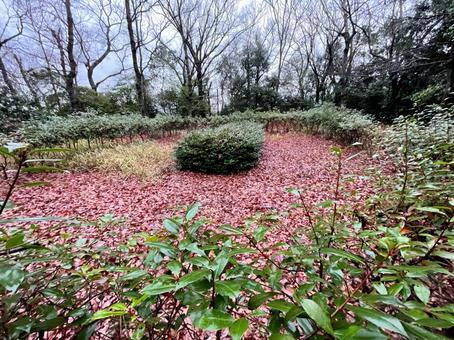 天理市にある中山大塚古墳の発掘調査跡 天理市にある中山大塚古墳の発掘調査跡 古墳,奈良,卑弥呼の写真素材