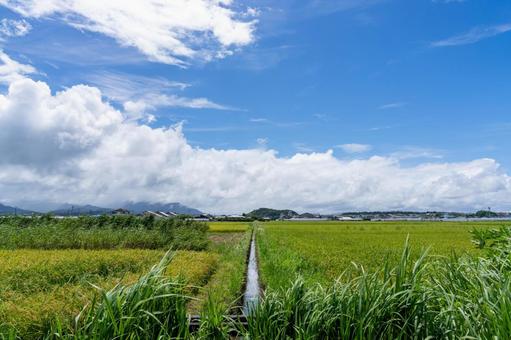 Photo, blue sky, cloud, sky, 