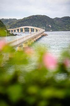 角島大橋 角島大橋の写真