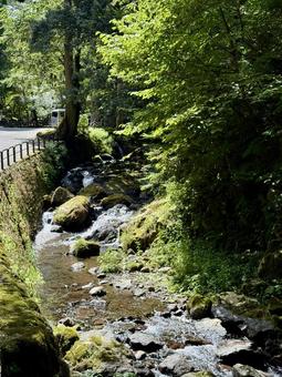 2025年夏の永平寺の川 2025年夏の永平寺の川の写真