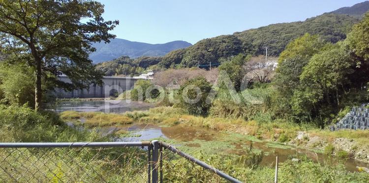 ダムの風景 山,木々,ダムの写真素材
