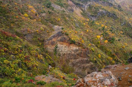 蔵王の紅葉⒂ 蔵王,紅葉,黄葉の写真素材