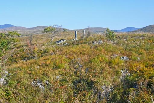 山口・美祢市 カルスト台地「秋吉台」／秋 秋吉台,カルスト台地,秋の写真素材