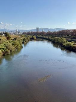 11月末の昼間　晩秋の福井県の足羽川 11月末,晩秋,景色の写真素材