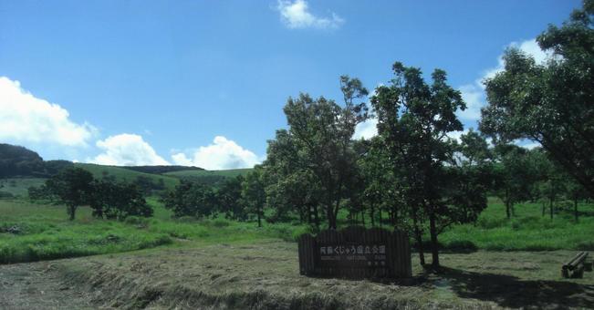 草原ボケ背景-46 草原ボケ背景-46の写真