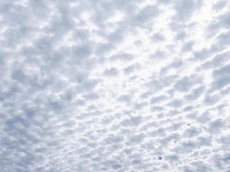 うろこ雲 うろこ雲の写真