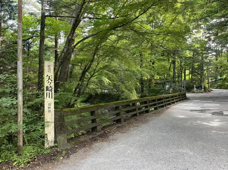 矢ケ崎川 矢ケ崎川の写真