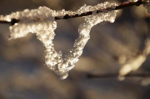 氷の輪 氷の輪 イメージ,氷,つららの写真素材