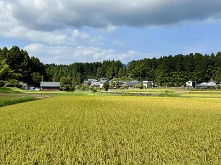 夏の田舎の風景　福井県越前市 福井県,越前市,田舎の写真素材