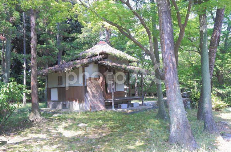 林の中の茶屋 茶屋,家,古民家の写真素材