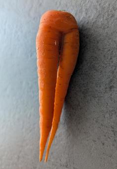 Photo, ginseng, carrot, vegetables, 