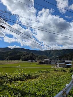 夏の田んぼ道 田んぼ道,夏,青空の写真素材