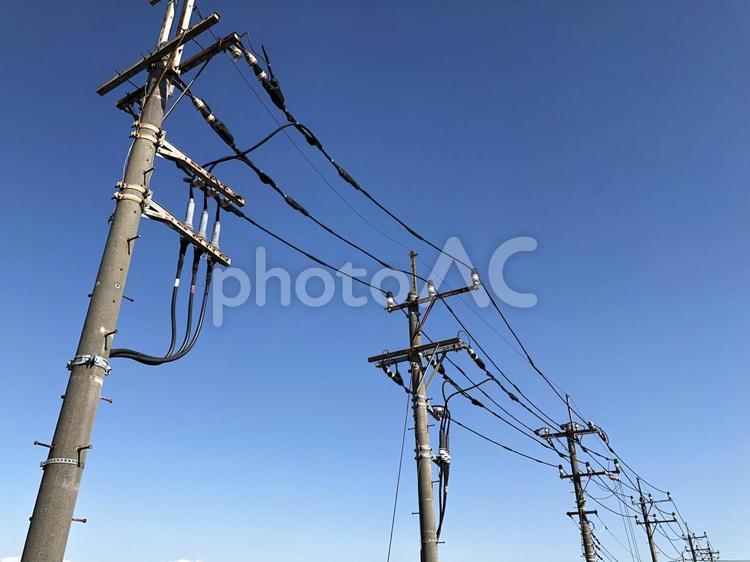 複数本の電信柱 電信柱,電柱,電線の写真素材
