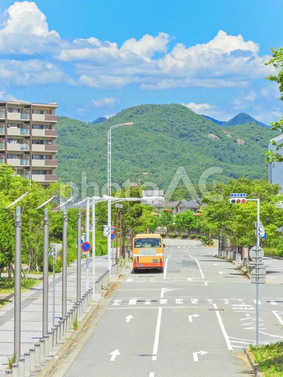 住宅街のイメージ 住宅,戸建て,マンションの写真素材