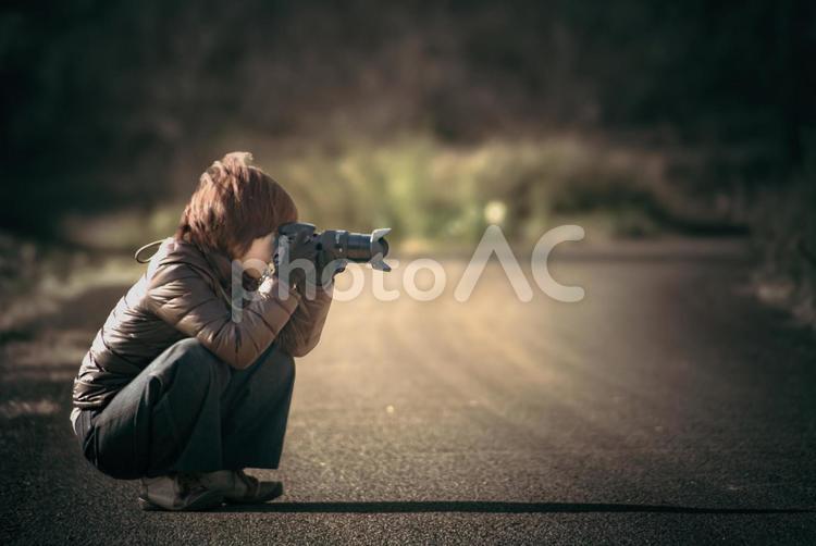 ＜素材＞秋の公園で写真撮影をする女性 女性,人物,風景の写真素材